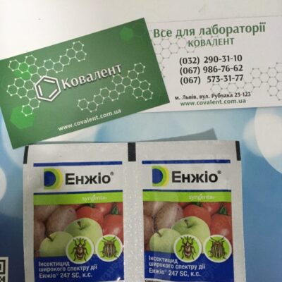 Енжіо 247 SC